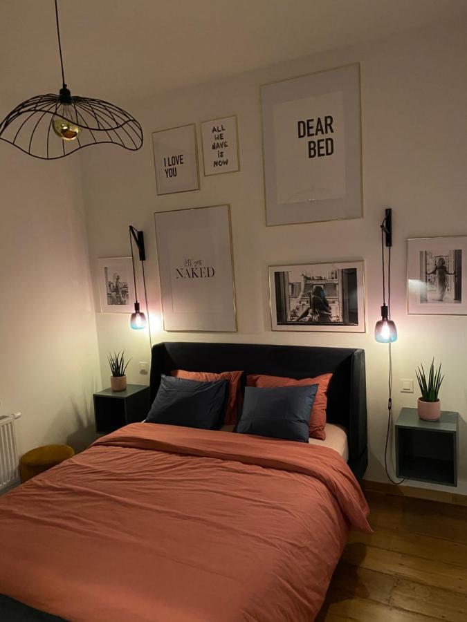 Cozy Apt W/ King Bed Great For Discovering Льеж Экстерьер фото
